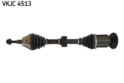 SKF-VKJC4513.jpg