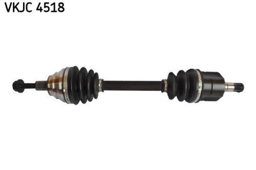 SKF-VKJC4518.jpg
