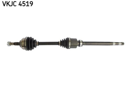 SKF-VKJC4519.jpg