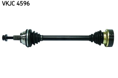 SKF-VKJC4596.jpg