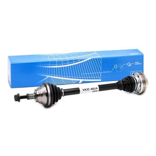 SKF-VKJC4614.jpg