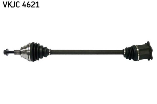 SKF-VKJC4621.jpg