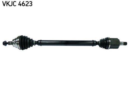 SKF-VKJC4623.jpg