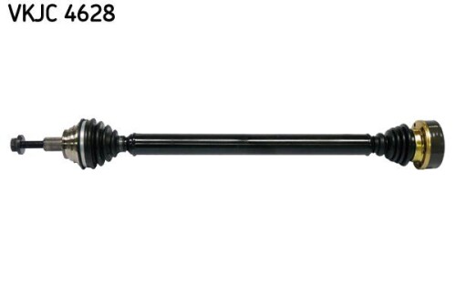 SKF-VKJC4628.jpg