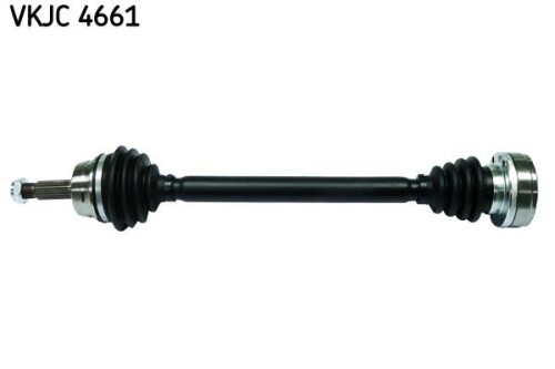 SKF-VKJC4661.jpg