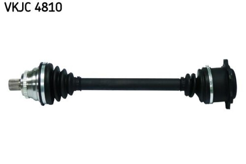 SKF-VKJC4810.jpg