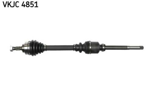 SKF-VKJC4851.jpg