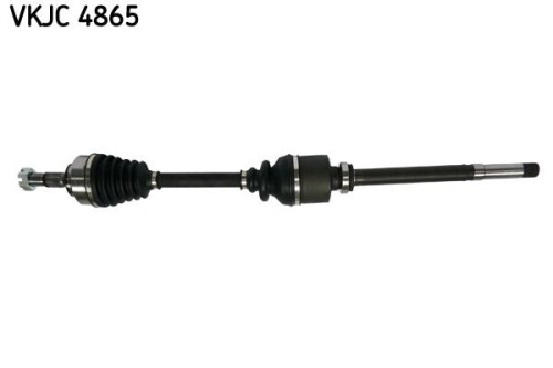 SKF-VKJC4865.jpg