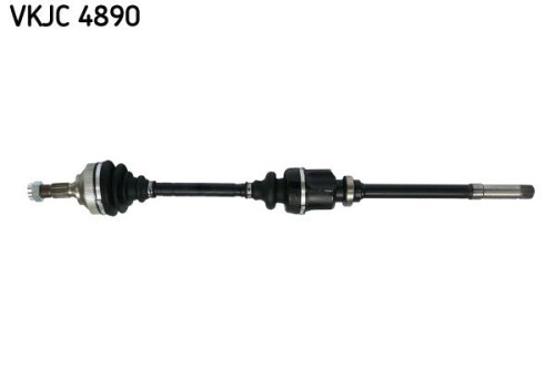 SKF-VKJC4890.jpg