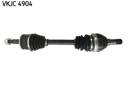 SKF-VKJC4904.jpg