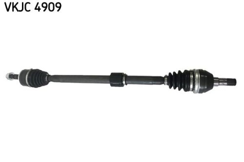 SKF-VKJC4909.jpg