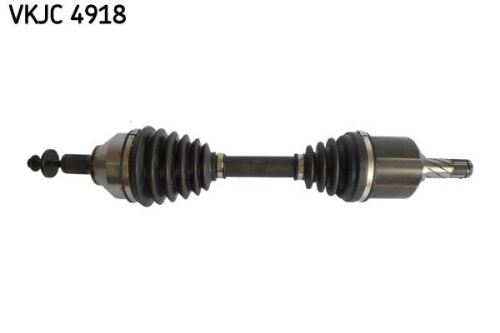 SKF-VKJC4918.jpg
