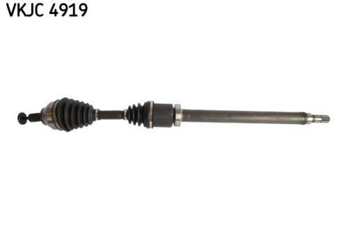 SKF-VKJC4919.jpg
