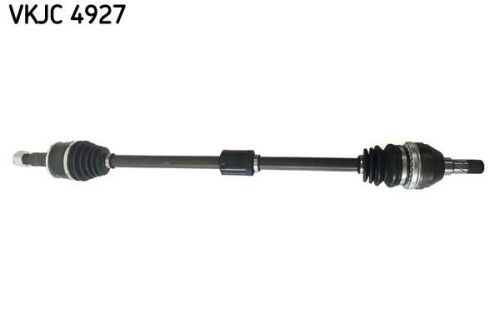 SKF-VKJC4927.jpg