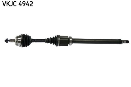 SKF-VKJC4942.jpg