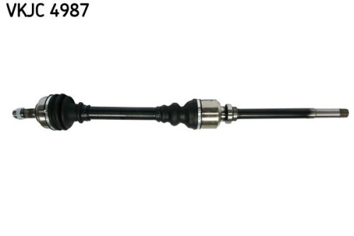 SKF-VKJC4987.jpg
