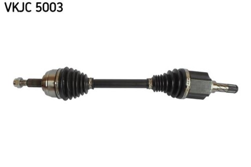 SKF-VKJC5003.jpg