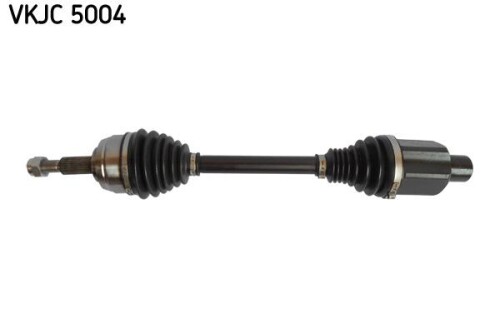 SKF-VKJC5004.jpg