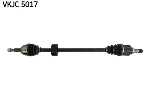 SKF-VKJC5017.jpg