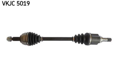 SKF-VKJC5019.jpg