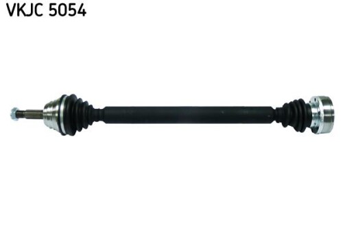 SKF-VKJC5054.jpg
