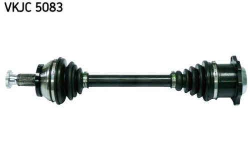SKF-VKJC5083.jpg