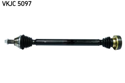 SKF-VKJC5097.jpg