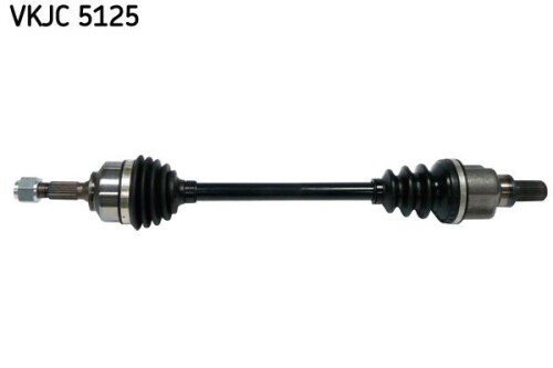 SKF-VKJC5125.jpg
