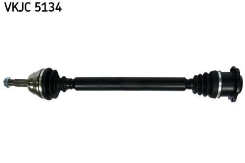 SKF-VKJC5134.jpg