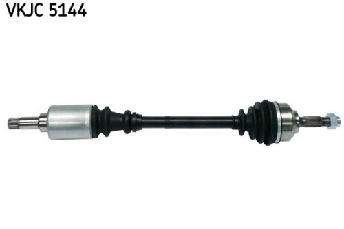 SKF-VKJC5144.jpg