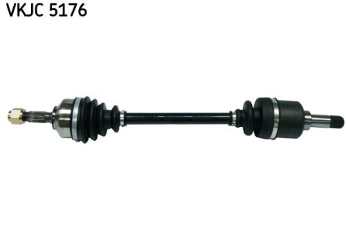 SKF-VKJC5176.jpg