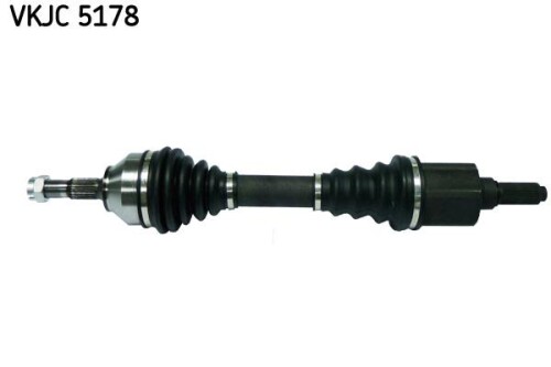 SKF-VKJC5178.jpg