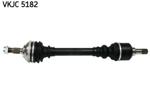SKF-VKJC5182.jpg