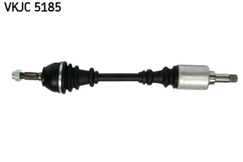 SKF-VKJC5185.jpg