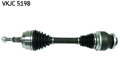 SKF-VKJC5198.jpg