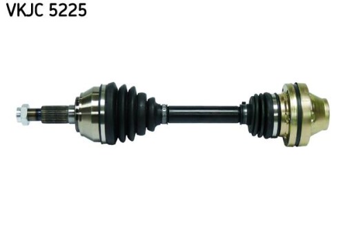 SKF-VKJC5225.jpg
