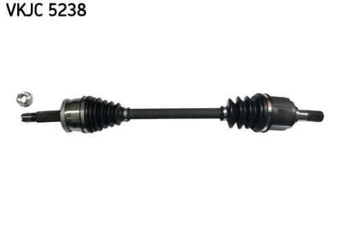 SKF-VKJC5238.jpg