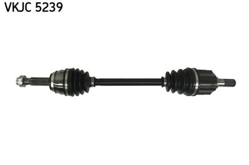 SKF-VKJC5239.jpg
