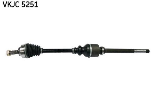 SKF-VKJC5251.jpg