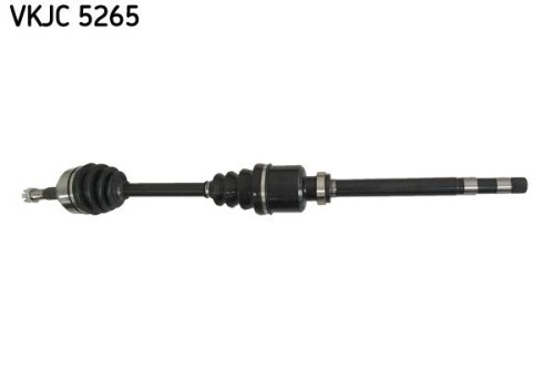 SKF-VKJC5265.jpg