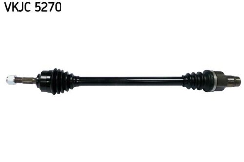 SKF-VKJC5270.jpg
