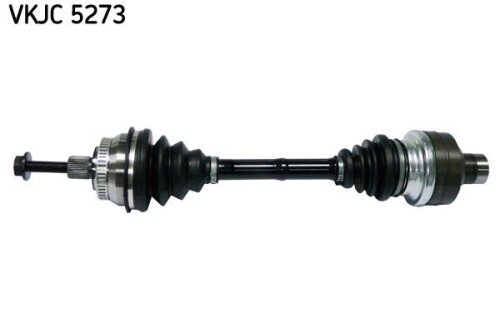 SKF-VKJC5273.jpg