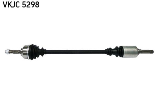 SKF-VKJC5298.jpg