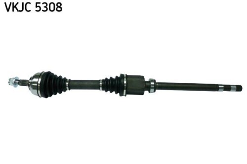 SKF-VKJC5308.jpg