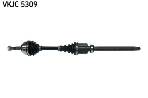 SKF-VKJC5309.jpg