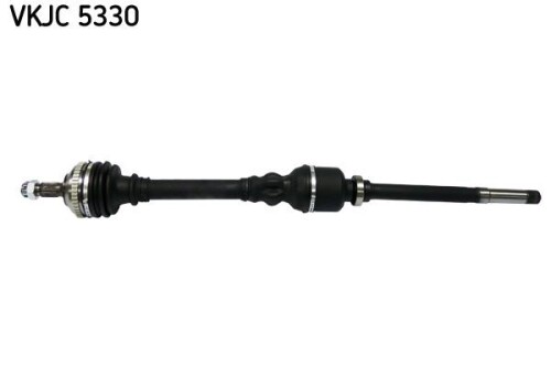 SKF-VKJC5330.jpg