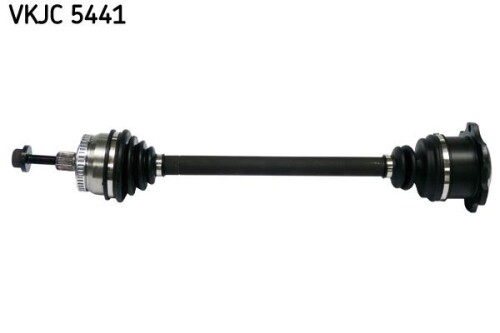 SKF-VKJC5441.jpg