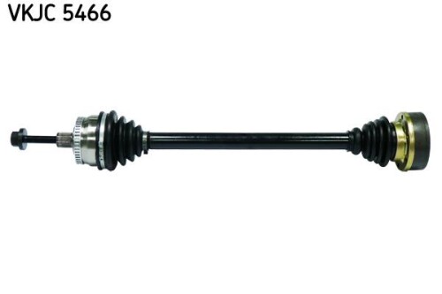 SKF-VKJC5466.jpg