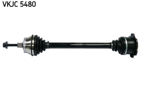 SKF-VKJC5480.jpg