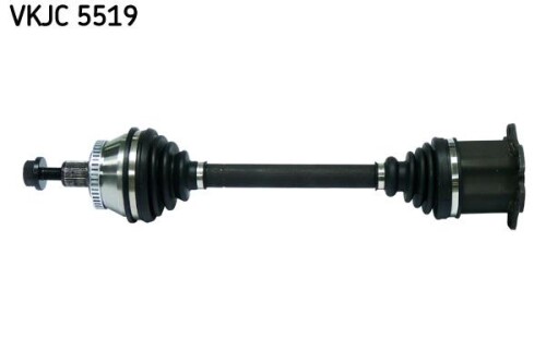 SKF-VKJC5519.jpg